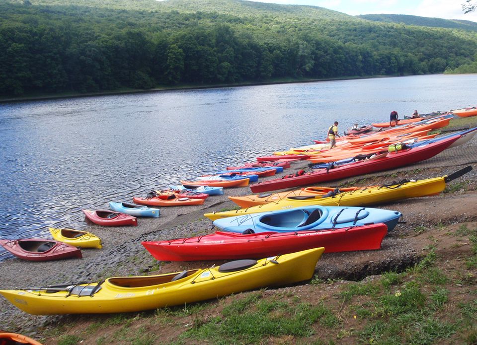 Variety of Boats